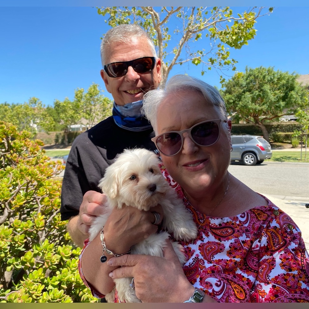 Meet your Posher, Carole